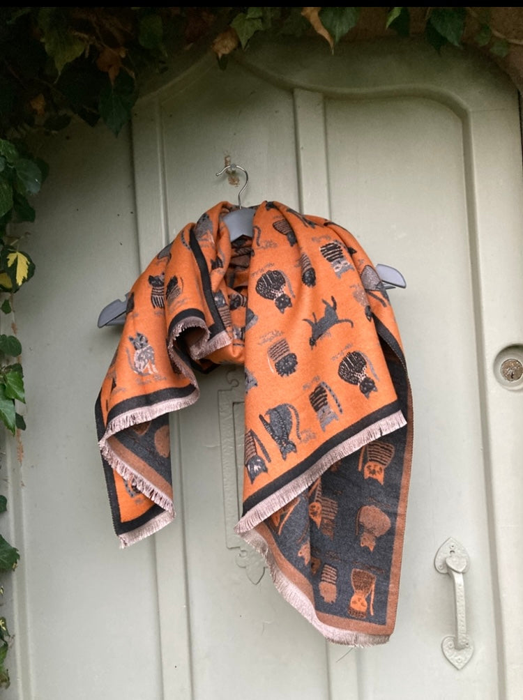 🍁🍂 orange cat scarf