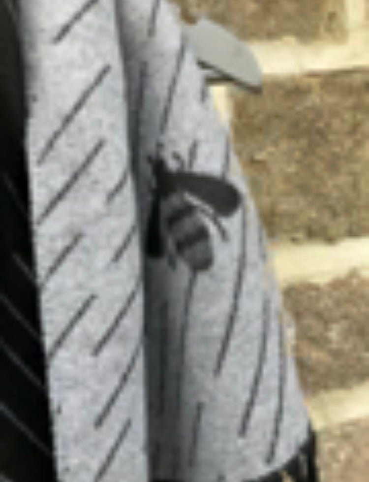 🍁🍂 Black grey cashmere bee scarf